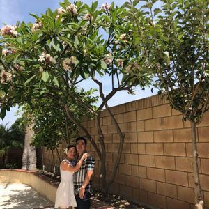 Meet your Posher, Hai